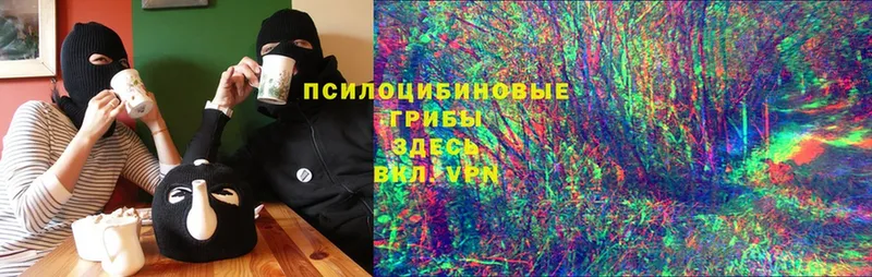 Галлюциногенные грибы Psilocybe  Нижняя Тура 